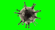 ウィルス・細菌 Ver.2 / 縦横回転_ループ素材 / グレイ / グリーンバック合成用