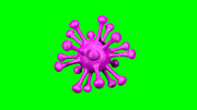 ウィルス・細菌 Ver.1 / 縦横回転_ループ素材 / パープル / グリーンバック合成用