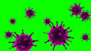 ウィルス・細菌 Ver.2 / 画面全体に増殖_ループ素材 / パープル / グリーンバック合成用