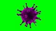 ウィルス・細菌 Ver.2 / 縦横回転_ループ素材 / パープル / グリーンバック合成用
